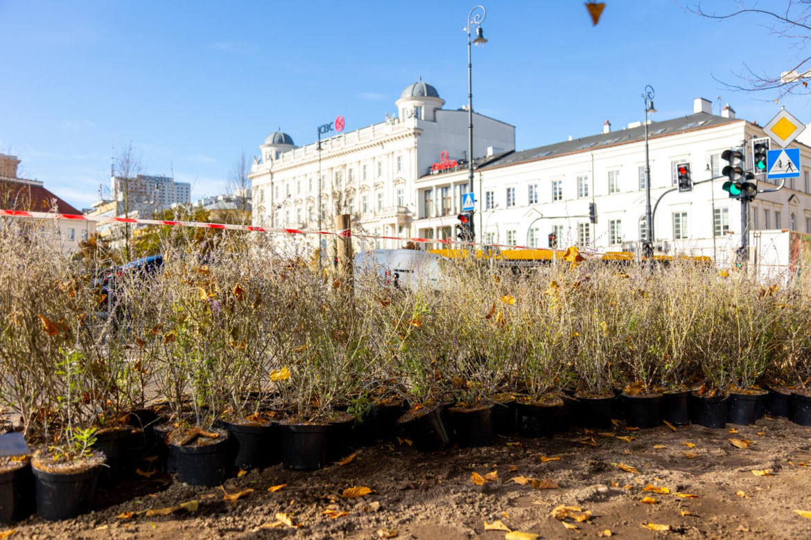 Zmodernizowany Plac Trzech Krzyży