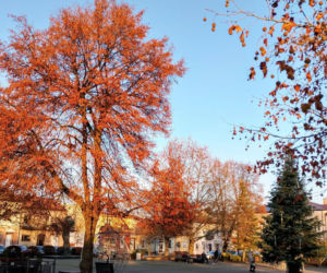 Chmielnik. Woj. świętokrzyskie