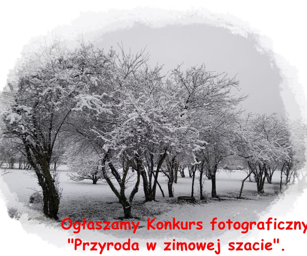 SP16 organizuje konkurs fotograficzny dla swoich uczniów 