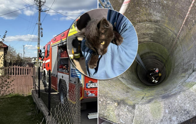 Mruczek wpadł do starej studni. Rozpaczliwym miauczeniem wołał pomocy