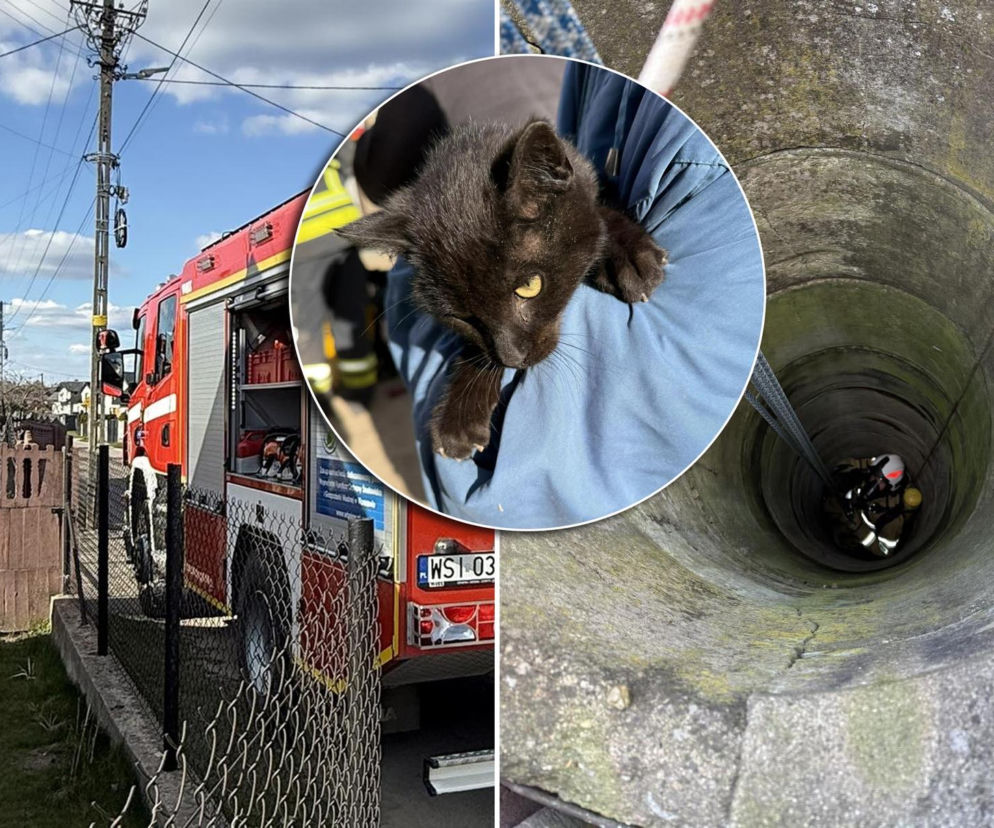 Czarny kocur zniknął bez śladu. Po trzech dniach odnalazł się na dnie studni