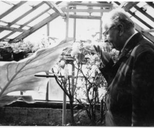 Tadeusz Bilicz ogrodnik Starachowic