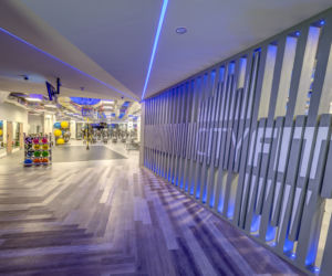 CityFit