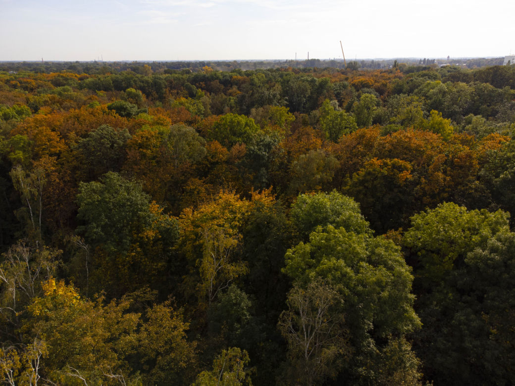 Wrocław w połowie października 2022 roku 