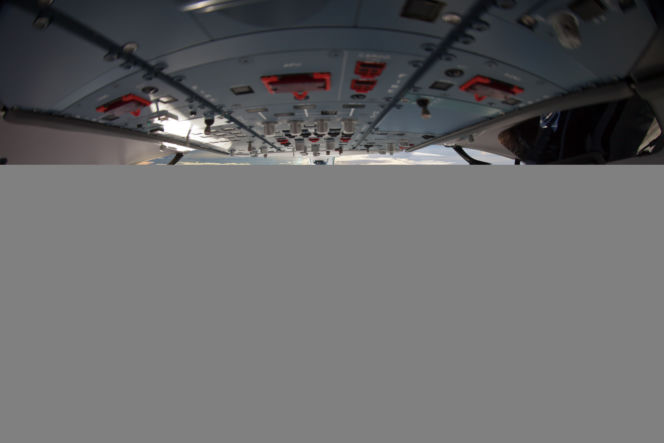 Pilot