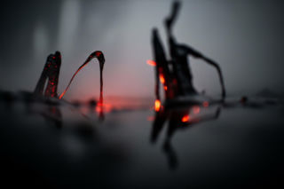 Pożar pod Radomiem. Co zabiło dwie kobiety?