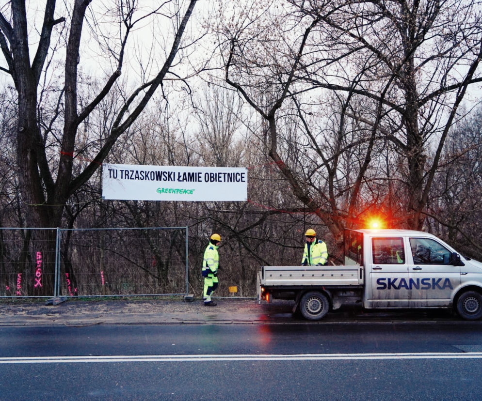 Aktywiści Greenpeace bronią drzew nad Wisłą