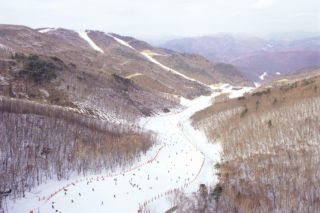 12 ośrodków narciarskich na ekscytującą zimę w Korei Południowej