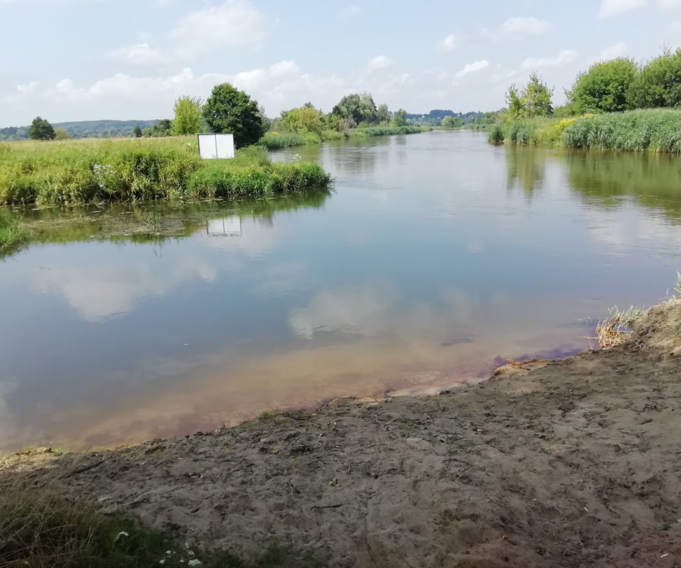 Pilica w okolicach Białobrzegów 