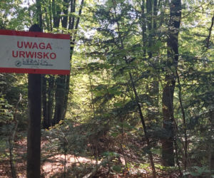 52. Rajd Miłośników Roztocza