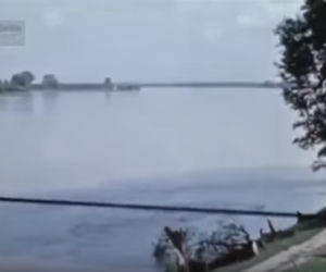 Niemcy wjechali na Lubelszczyznę