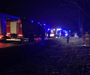 Wypadek w pobydgoskim Żołędowie. Osobówka uderzyła w drzewo! [ZDJĘCIA]