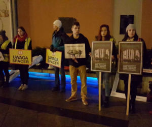 Ekolodzy boją się o dziki. Wyszli na ulice Bydgoszczy, by zaprotestować