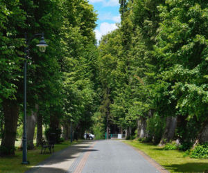 To jedno z najpiękniejszych miast w Małopolsce. Jest też jedynym takim uzdrowiskiem w Polsce