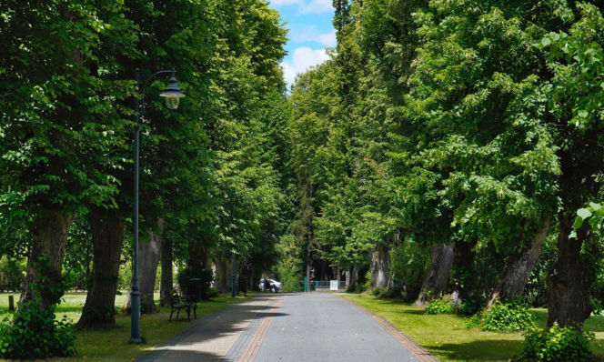 To jedno z najpiękniejszych miast w Małopolsce. Jest też jedynym takim uzdrowiskiem w Polsce