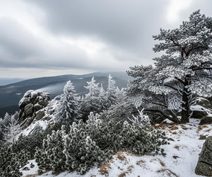 Karpacz walczy z mrozem! Kiedy wreszcie spadnie długo wyczekiwany śnieg?