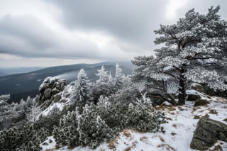 Karpacz walczy z mrozem! Kiedy wreszcie spadnie długo wyczekiwany śnieg?