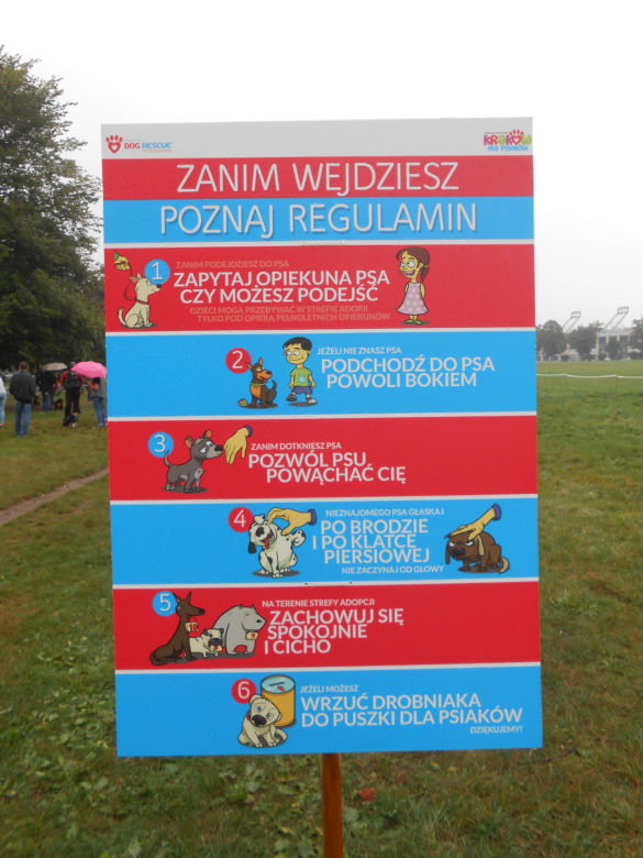 6 psów zyskało nowy dom - za nami wielka akcja adopcyjna na krakowskich Błoniach [AUDIO, GALERIA]