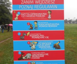 6 psów zyskało nowy dom - za nami wielka akcja adopcyjna na krakowskich Błoniach [AUDIO, GALERIA]