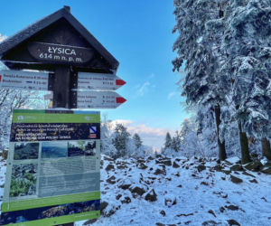 Świętokrzyskie. To najniższa góra w Koronie Gór Polski