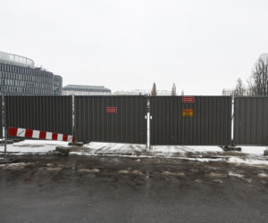 Rzeź drzew w parku w centrum Warszawy. Przygnębiający widok przed odbudową Pałacu Saskiego