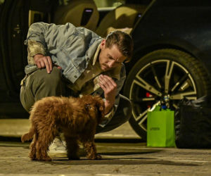 Taniec z gwiazdami kulisy