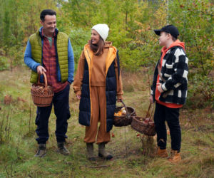 Barwy szczęścia odc. 3332