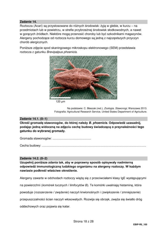 Matura 2024: biologia rozszerzona ARKUSZ FORMUŁA 2015