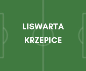 Liswarta Krzepice