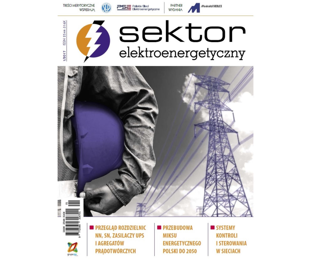Sektor Elektroenergetyczny 2017