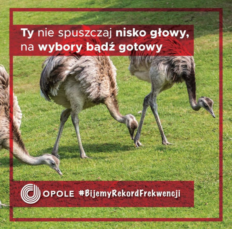 Komiczna kampania Opola! Wybory Prezydenckie 2020 to nasza szansa na rekord frekwencji