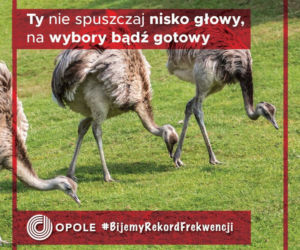 Komiczna kampania Opola! Wybory Prezydenckie 2020 to nasza szansa na rekord frekwencji