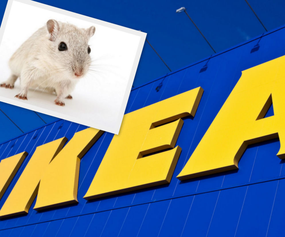 IKEA wycofuje produkt z powodu myszy