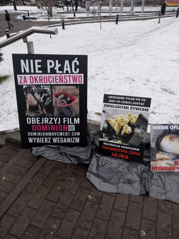 W Grudziądzu manifestowali aktywiści na rzecz zwierząt