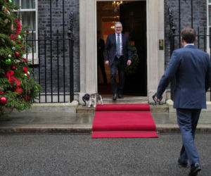 Oto Larry. Chief Mouser to the Gabinet Office