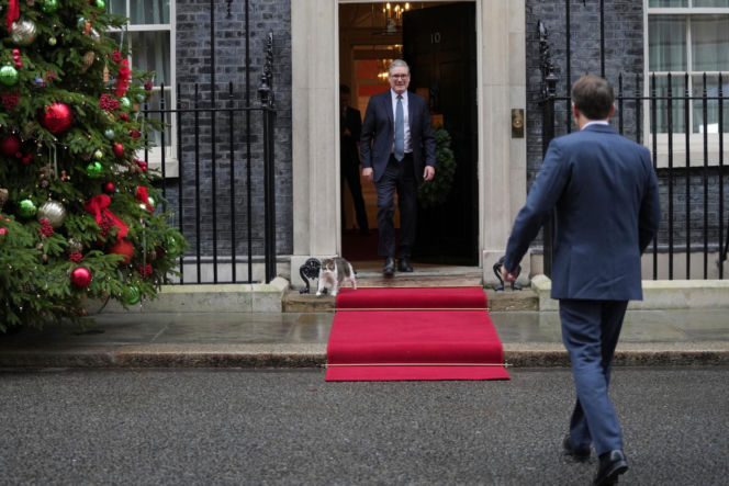 Oto Larry. Chief Mouser to the Gabinet Office