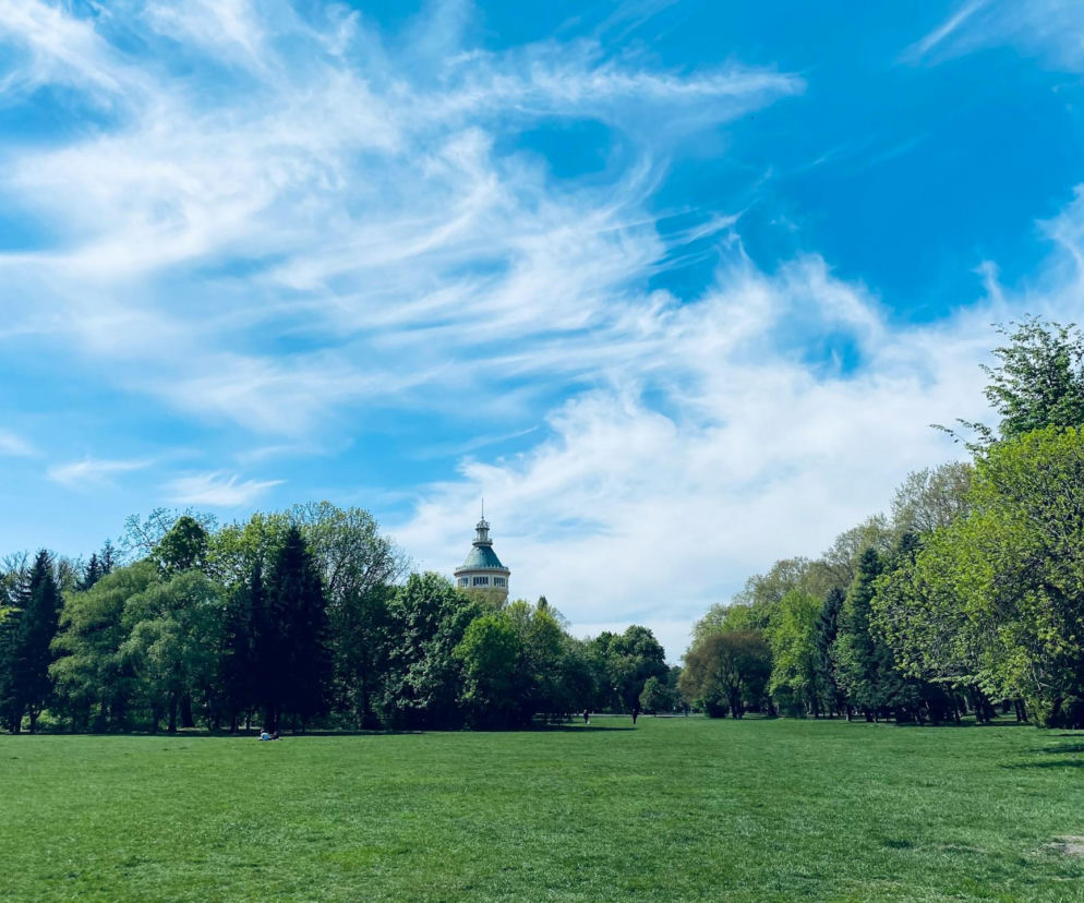 Słoneczny park z zieloną polaną pod błękitnym niebem. O letniej aurze jesienią przeczytasz na SE Pogoda.
