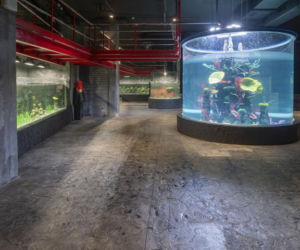 Podwodny tunel z basenem dla rekinów wypełniony wodą! Kiedy otwarcie łódzkiego Orientarium?