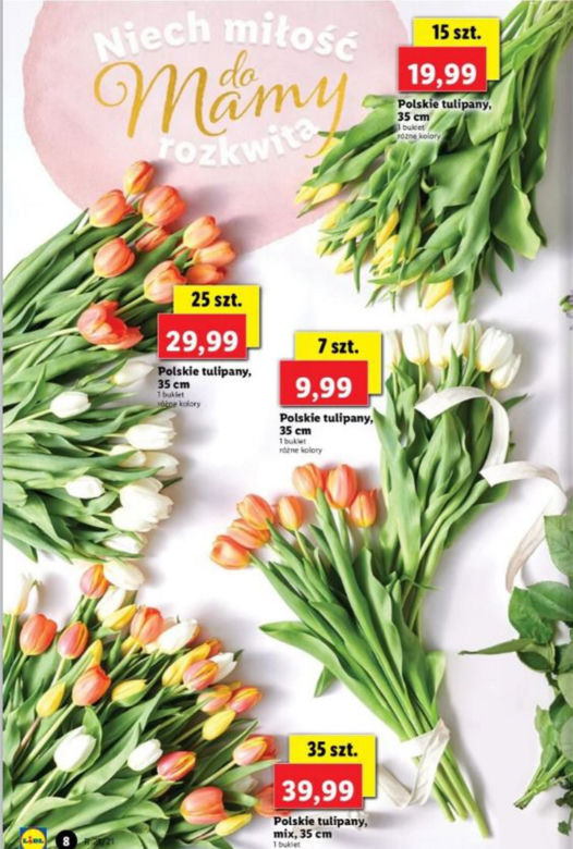 Polskie tulipany