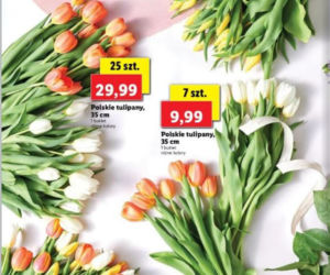 Lidl dzień matki