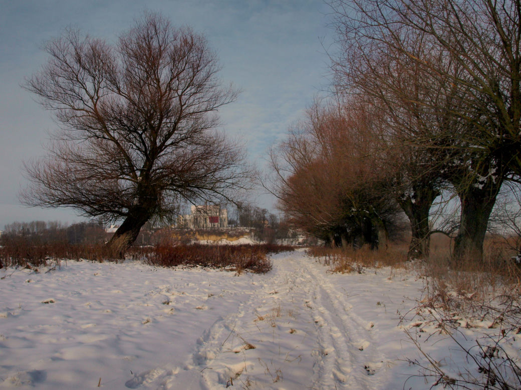 Opatowiec