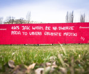 Widzew nosi czapkę z dupki od chleba, a ŁKS je komary... Derby Łodzi na murach