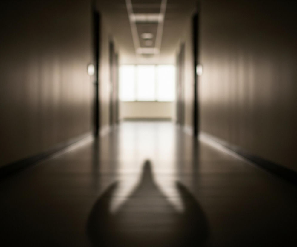 Wydłużony, ciemny cień o kształcie rozłożonych skrzydeł lub dłoni rzuca się na podłogę długiego korytarza. Korytarz jest słabo oświetlony i rozmyty, z wyraźnym białym światłem widocznym na jego końcu, prawdopodobnie z okna lub drzwi. Po bokach korytarza widać ściany w odcieniach szarości i brązu, a na suficie znajdują się prostokątne panele świetlne, również rozmazane.
