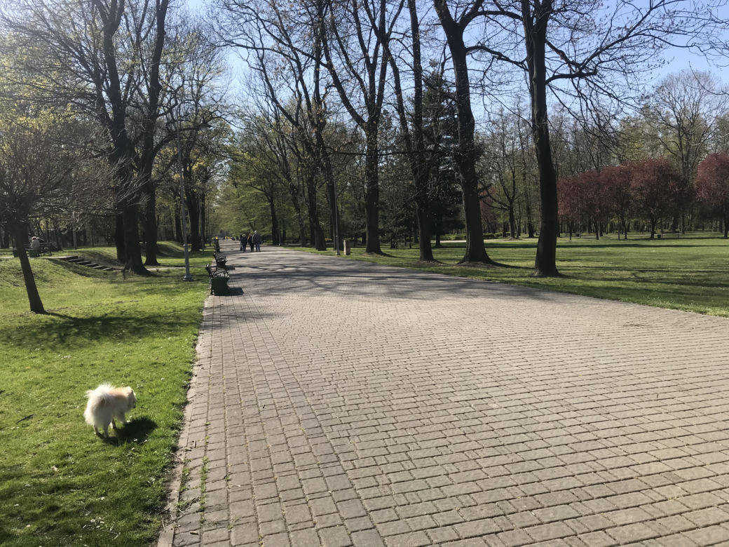 Katowice: Tłumy w Parku Kościuszki. Mieszkańcy ruszyli na spacery