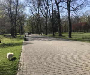 Katowice: Tłumy w Parku Kościuszki. Mieszkańcy ruszyli na spacery