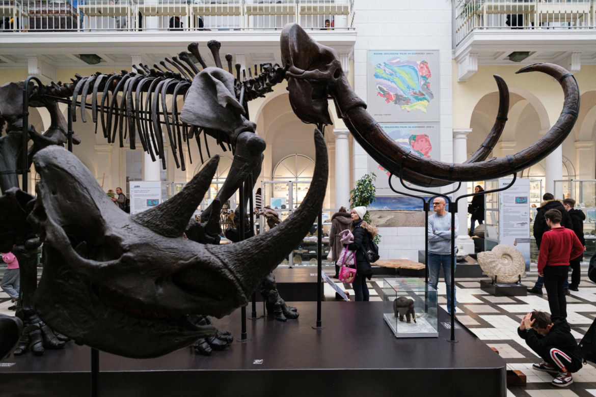 W tym warszawskim muzeum zrobisz sobie selfie z dinozaurem. Wstęp nic nie kosztuje!