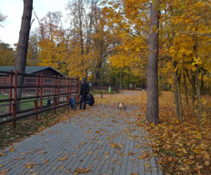 Park 1000-lecia w Lesznie na chwilę przed zachodem słońca