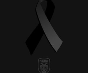 Tragedia w drodze na mecz. Zginęli kibice greckiej drużyny