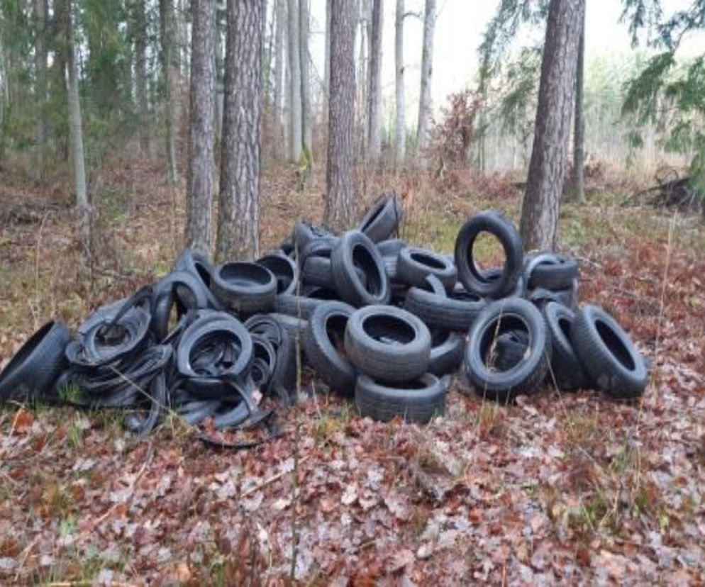 Wysypisko opon w Nadleśnictwie Nowe Ramuki