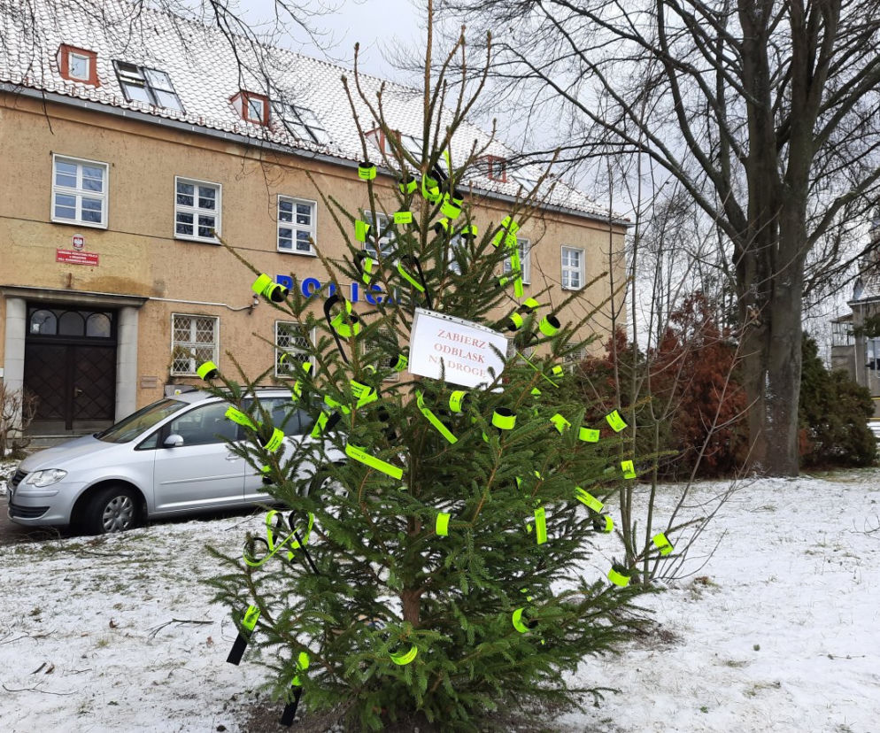 Choinka w Mrągowie